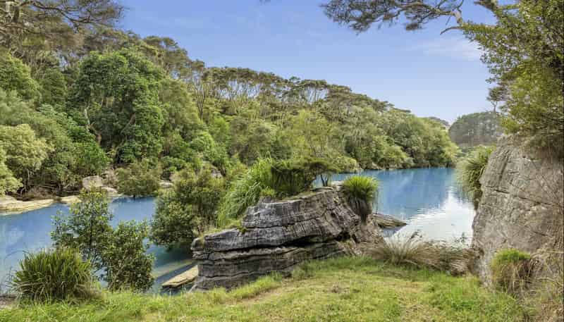 503 Te Akau Wharf Road, Te Akau