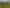 116 Hawkins Road, Kohukohu