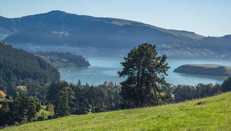 168-240 Purau Port Levy Road, Purau