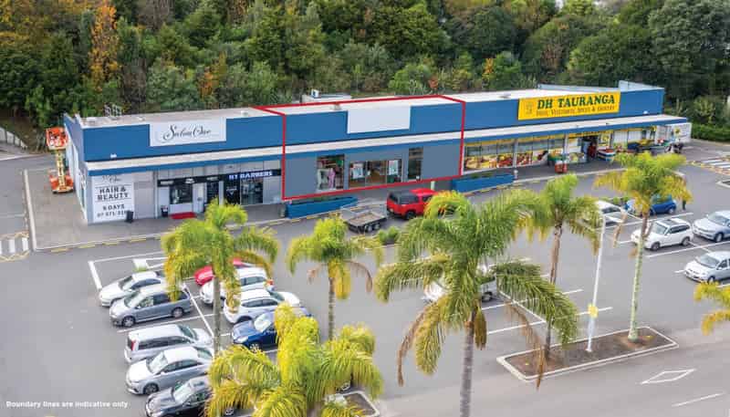 C2/221 Fraser Street South, Tauranga South