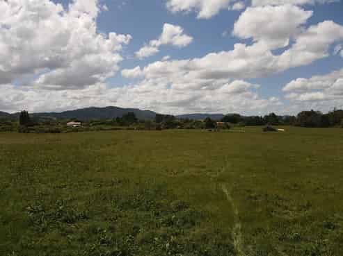 449 Ngaruawahia Road, Te Kowhai