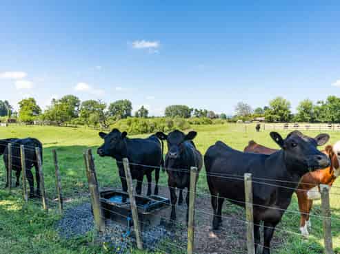 449 Ngaruawahia Road, Te Kowhai