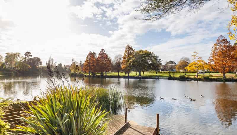 F/44 Manuka Street, HOKOWHITU