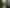 Auckland - Address withheld