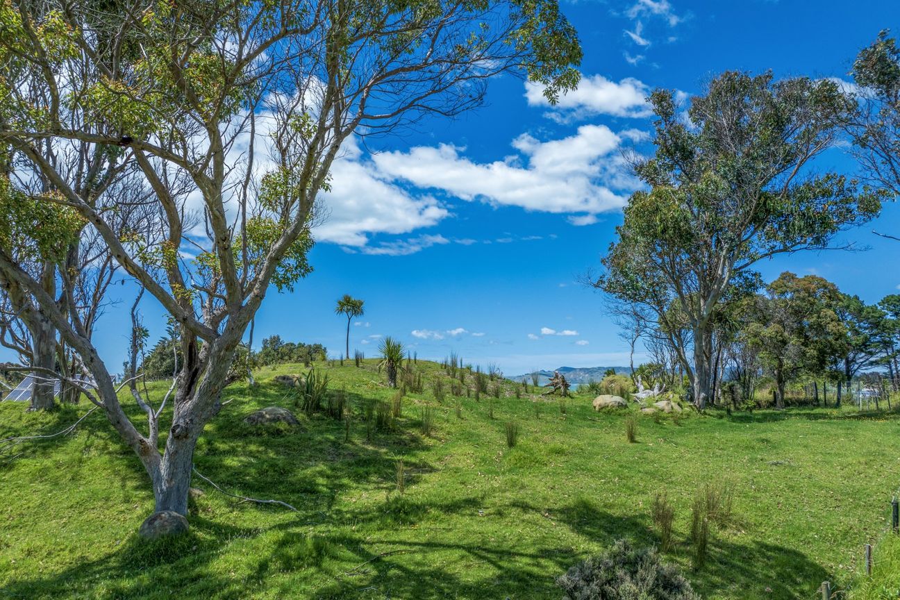 Freehold section in Mahanga with stunning views - Widok 4