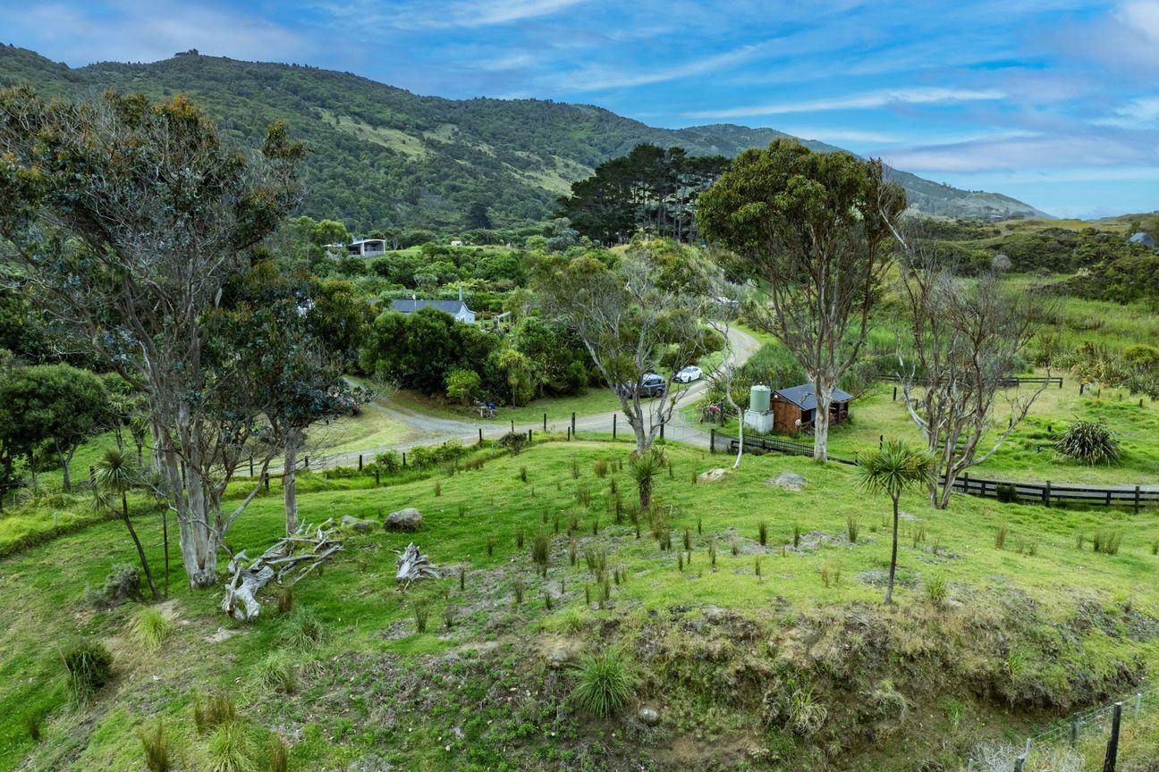 Freehold section in Mahanga with stunning views - Widok 3
