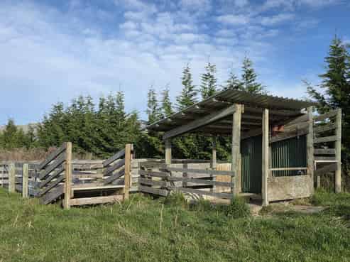 457 Hamilton Road, Ashwick Flat