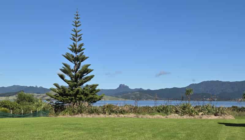 137 Kelly Jade Avenue, Matarangi