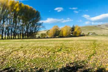 779 Ardgour Road, Tarras