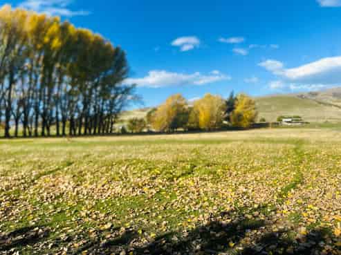 779 Ardgour Road, Tarras