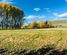779 Ardgour Road, Tarras, Central Otago, Central Otago / Lakes District