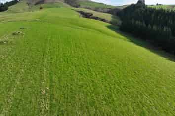 3 Conical Hill Road, Gore