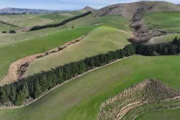 3 Conical Hill Road, Gore