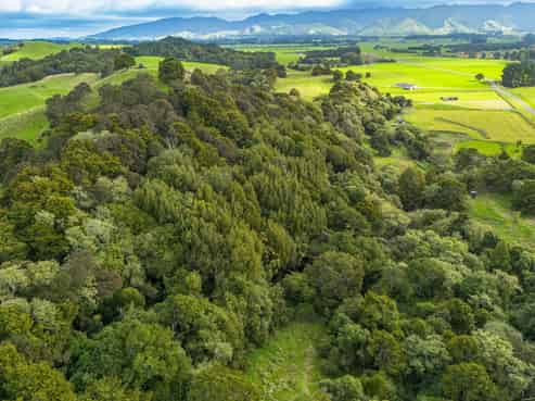 137 Kiritaki Road, Dannevirke
