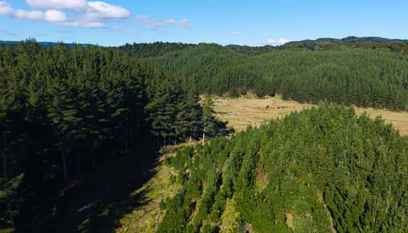   Akatarawa Road, Paraparaumu