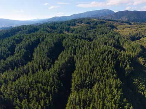   Akatarawa Road, Paraparaumu