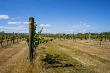 220 Omihi Road, Waipara