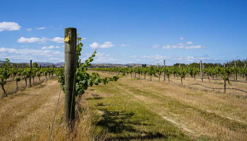 220 Omihi Road, Waipara