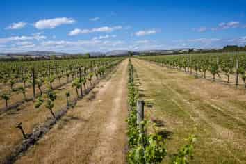 220 Omihi Road, Waipara