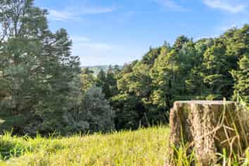 389A Crane Road, Kamo