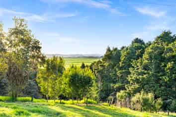 389A Crane Road, Kamo