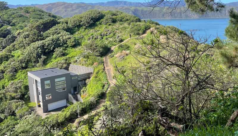 79 Mantell Street, Seatoun
