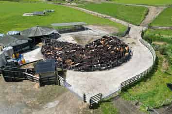 66 Kirton Road, Taumarunui