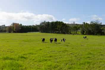 Lot 1/521B Okahu Road, Kaitaia