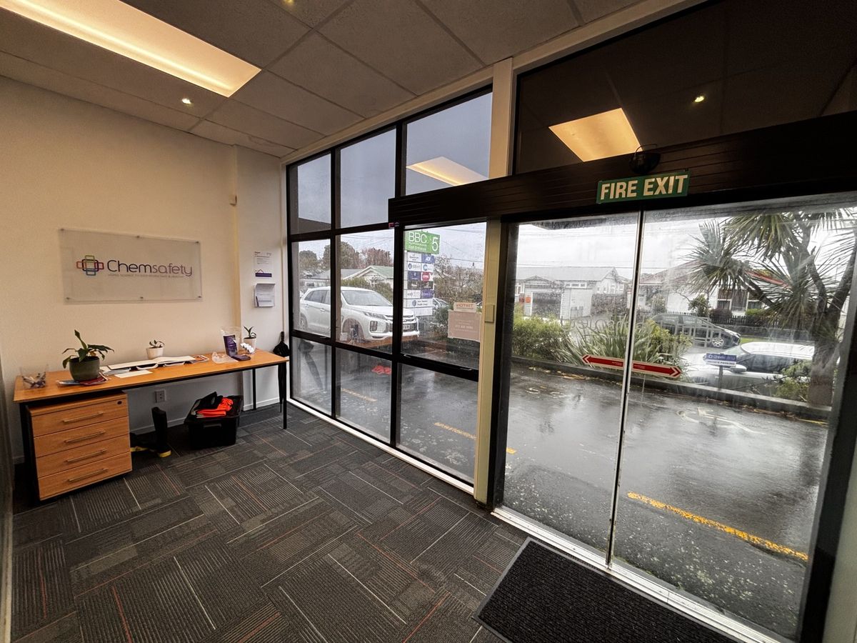 Professional Petone offices with parking - Ansicht 2