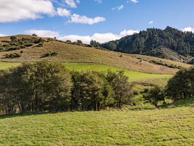 52 Little Pokororo Road, Motueka Valley