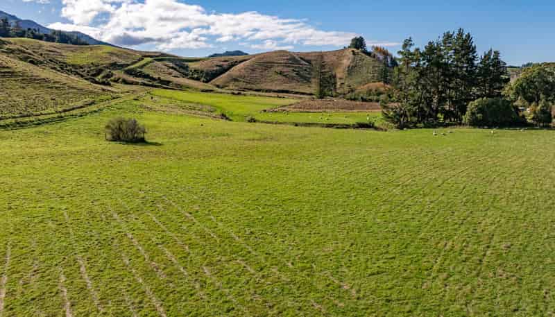 52 Little Pokororo Road, Motueka Valley