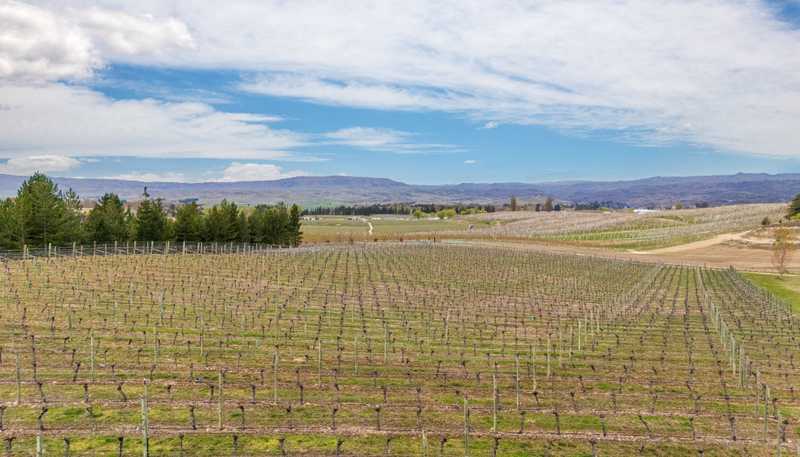 236 Letts Gully Road, Alexandra