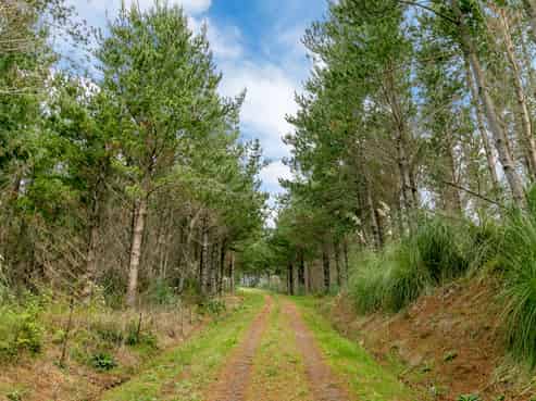 SH 1 Wayby, Wellsford