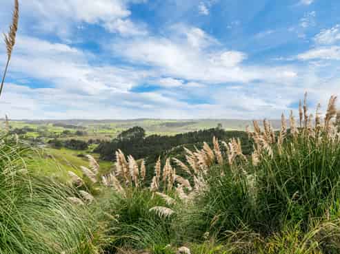 SH 1 Wayby, Wellsford