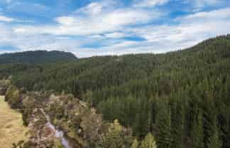 SH 1 Wayby, Wellsford