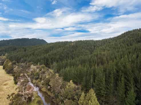 SH 1 Wayby, Wellsford