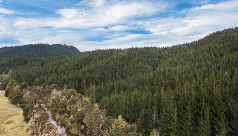 SH 1 Wayby, Wellsford