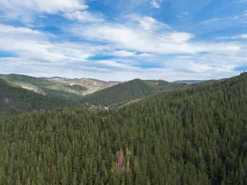 SH 1 Wayby, Wellsford