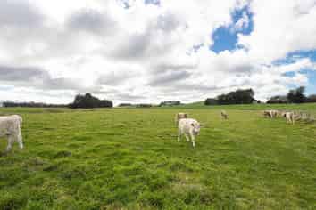 27 Matamau/Ormondville Road, Dannevirke
