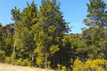 Lot 5 21 Waikawau Beach Road, Coromandel