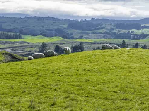 1716 Dartmoor Road, Dartmoor