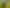 Lot 2, 252 Amreins Road, Taupaki