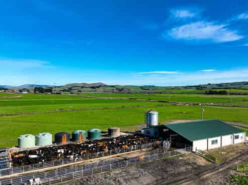 583 Pomahaka Road, Tapanui