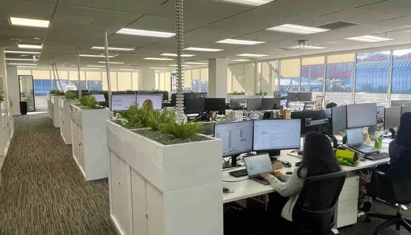 Level 1/2 Fred Thomas Drive, Takapuna