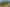5 Williams Drive, Te Puke