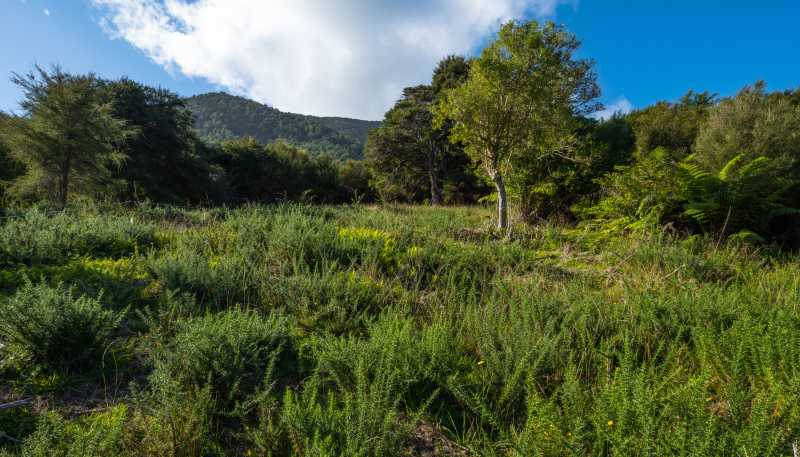 Lot 37 Kaiuma Bay Road, Kaiuma Bay