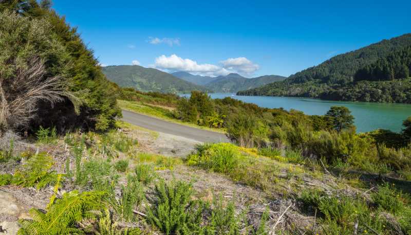 Lot 37 Kaiuma Bay Road, Kaiuma Bay