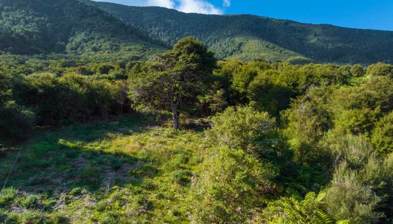 Lot 37 Kaiuma Bay Road, Kaiuma Bay