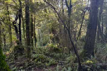  Fitzgerald Street, Jackson Bay