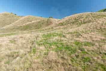 Proposed L/67 Hitiri Road, Kinloch